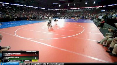 D1-106 lbs Champ. Round 1 - Thomas Mattsen, Muskego vs Logan Clausen, Badger