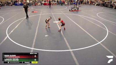 51-53 lbs Quarterfinal - Landon Michel, New Prague Wrestling vs Nash Glenn, Coon Rapids Mat Bandits