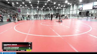 53 lbs Champ. Round 1 - Maverick Gibson, INWTC vs Kayceon O`Bannon, FordDynastyWrestlingClub