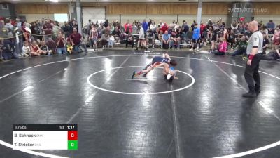 I 75 lbs Semifinal - Brady Schneck, Emmaus vs Trent Stricker, Shillington