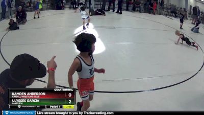 2 lbs Quarterfinal - Kamden Anderson, Kimball Wrestling Club vs Ulysses Garcia, Lakeview