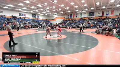 197 lbs Cons. Round 1 - Aidan Belgiorno, Heidelberg University vs Jake Schmitt, Milwaukee School Of Engineering