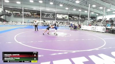 6-113 lbs Semifinal - Brandon Cynar, Western Branch vs Michael Santos, Chantilly