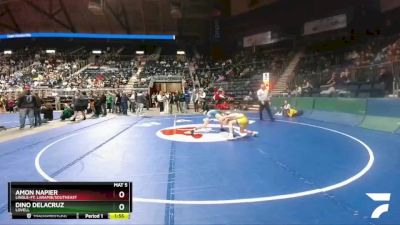 2A-106 lbs Champ. Round 1 - Amon Napier, Lingle-Ft. Laramie/Southeast vs Dino Delacruz, Lovell