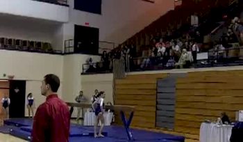Yale (Tara Feld)