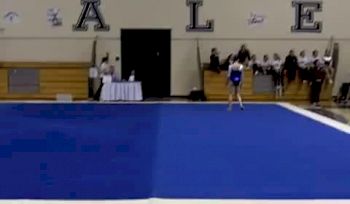 Yale (Tara Feld)