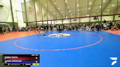 113 lbs Quarterfinal - Ayden Tokita, ID vs Zaiden Gonzalez, WA