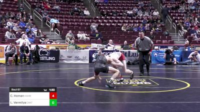 114 lbs Round Of 16 - Chase Homan, Hamburg vs Lyle Vermilya, Canton