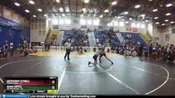 113 lbs Quarterfinals (8 Team) - Gian Ortiz, Jensen Beach vs Anthony O`Dell, Mater Lakes