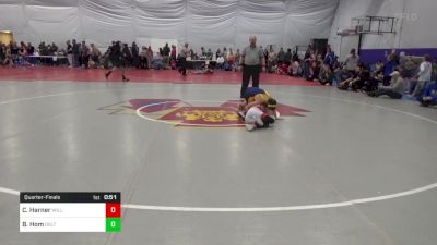 93 lbs Quarterfinal - Carson Harner, Williamsport vs Brady Hom, Delta