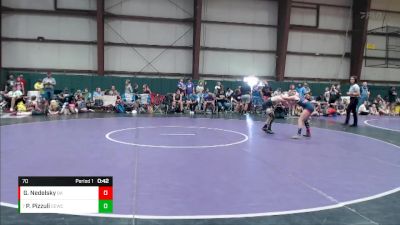 70 lbs Quarterfinal - Payton Pizzuli, Team Ohio vs Grace Nedelsky, Contenders Wrestling Academy