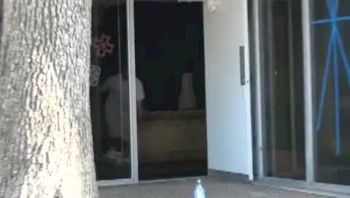 Stick of the Week - Feb 25