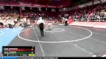 113 lbs D1/d2/d3 Finals (sat 3:00 P.m.) - Lane Anderson, Amery vs Isaac Jerabek, Luxemburg-Casco