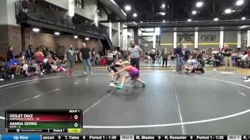 91 lbs Finals (2 Team) - Violet Diaz, FEWTeamIA Purple vs Hanna Givins, SOTM