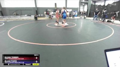 190 lbs 2nd Place Match - Alijah Torres, Askeo International Mat Club vs Elijah Fleck, Team Scorpion Wrestling Club