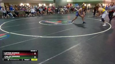 285 lbs Round 5 (6 Team) - Layton Schmick, Nauman Blue vs Caelan Denigris, Delaware