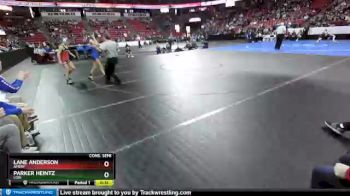 D2-113 lbs Cons. Semi - Parker Heintz, Lodi vs Lane Anderson, Amery