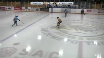 Replay: Home - 2023 Golden Hawks vs Tigers | Dec 2 @ 7 PM