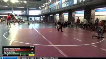 80 lbs Round 6 (10 Team) - Rj Whorton, Panda Wrestling Academy vs Kalel Winesburgh, Alabama Elite Gold