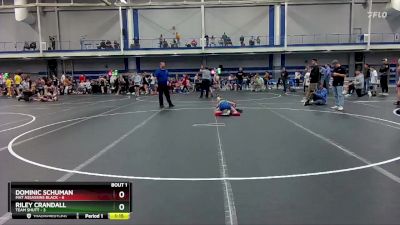 80 lbs Finals (2 Team) - Dominic Schuman, Mat Assassins Black vs Riley Crandall, Team Shutt