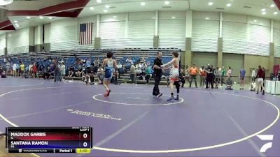 113 lbs Semifinal - Maddox Garbis, IL vs Santana Ramon, MI