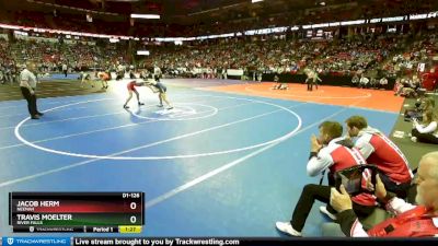 D1-126 lbs Quarterfinal - Travis Moelter, River Falls vs Jacob Herm, Neenah