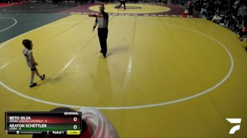 45 lbs Semis (4 Team) - Denley Wilking, LCWM vs Gattlin Rynkievich, Dassel-Cokato-Litchfield