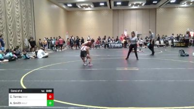 88 lbs Consi Of 4 - Carly Torres, Desert Fox vs Alexa Smith, Wolfpack WC