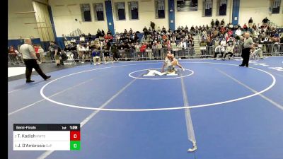 138 lbs Semifinal - Tyler Kadish, Newton South vs Jayden D'Ambrosio, Saint John's Prep