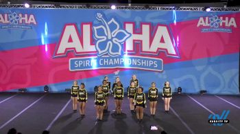 The Cheer Hive - Miss Sting [2022 L3 Senior - D2 11/20/2022] 2022 Aloha Trenton Showdown