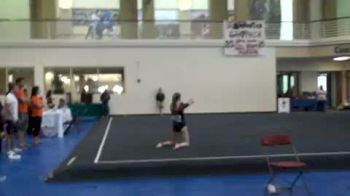 Illinois (Allie Smith 2)