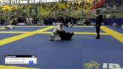 ANDRÉ LUIZ GOVAS P. BARREIRA vs ALEX APARECIDO SOARES 2024 Brasileiro Jiu-Jitsu IBJJF