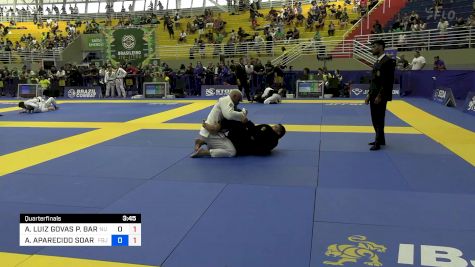 ANDRÉ LUIZ GOVAS P. BARREIRA vs ALEX APARECIDO SOARES 2024 Brasileiro Jiu-Jitsu IBJJF