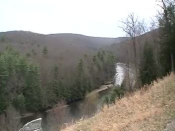 Birds Eye View Of Cook Forest