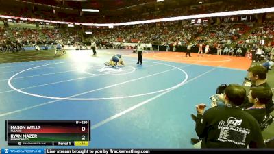 D1-220 lbs Quarterfinal - Mason Wells, Pulaski vs Ryan Mazer, Mukwonago