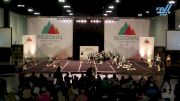 The Rock Athletics - Precious Gems [2024 CheerABILITIES - Exhibition 04/20/2024] 2024 The Southeast Regional Summit