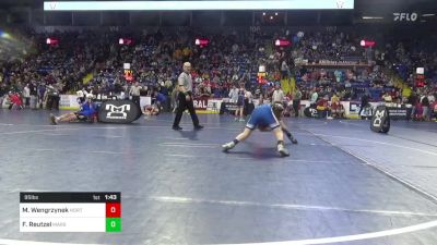 95 lbs Quarterfinal - Michael Wengrzynek, NorthWest vs Fisher Reutzel, Mars