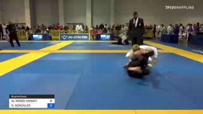 WESAM MAGDI HANAFI vs DANIEL GONZALES 2021 American National IBJJF Jiu-Jitsu Championship