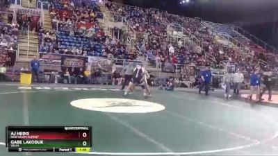 285 lbs Quarterfinal - AJ Heins, New Salem-Almont vs Gabe Lakoduk, Velva