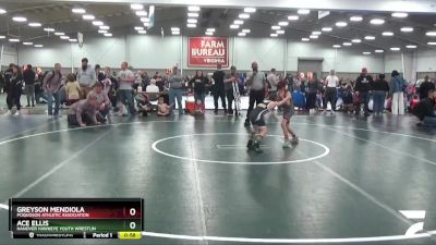 63 lbs Cons. Round 4 - Greyson Mendiola, Poquoson Athletic Association vs Ace Ellis, Hanover Hawkeye Youth Wrestlin