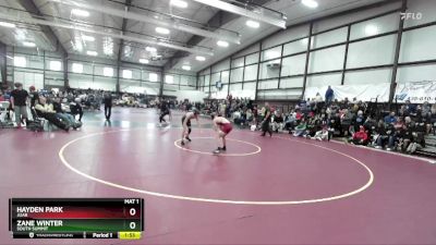 138 lbs Quarterfinal - Hayden Park, Juab vs Zane Winter, South Summit