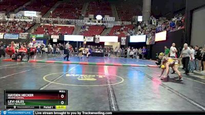 AA - 160 lbs Cons. Round 2 - Hayden Hecker, Helena Capital vs Levi Giles, Great Falls CMR