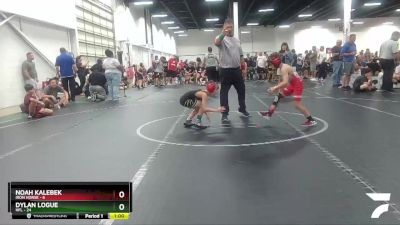 60 lbs Finals (2 Team) - Noah Kalebek, Iron Horse vs Dylan Logue, HFL