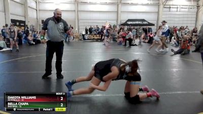 100 lbs Round 2 (4 Team) - Dakota Williams, MI Pitbulls vs Aubrie Fanslow, Bad Bass