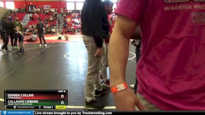 65 lbs 3rd Place Match - Damien Collins, Stronghold vs Callahan Liebner, Arab Youth Wrestling