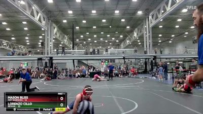 84 lbs Placement (4 Team) - Lorenzo Cillo, Revival vs Mason Bliss, Mat Warriors