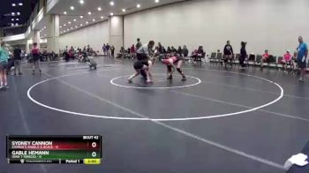 100 lbs Round 9 (10 Team) - Gable Hemann, Iowa T-Wrecks vs Sydney Cannon, Charlie`s Angels-IL Black