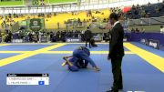 THIAGO RIBEIRO DOS SANTOS vs LUIZ FELIPE PINTO 2024 Brasileiro Jiu-Jitsu IBJJF