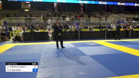 CARINA CURVELO SANTI vs DANIELLE R WALKER 2024 Pan Jiu Jitsu IBJJF Championship