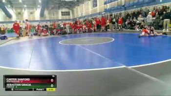 75 lbs Round 3 (4 Team) - Sebastian Gracia, Portage vs Carter Sanford, New Palestine